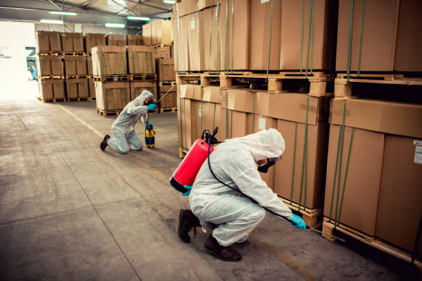 Best Best Pest Control Companies  in Linton Hall, VA