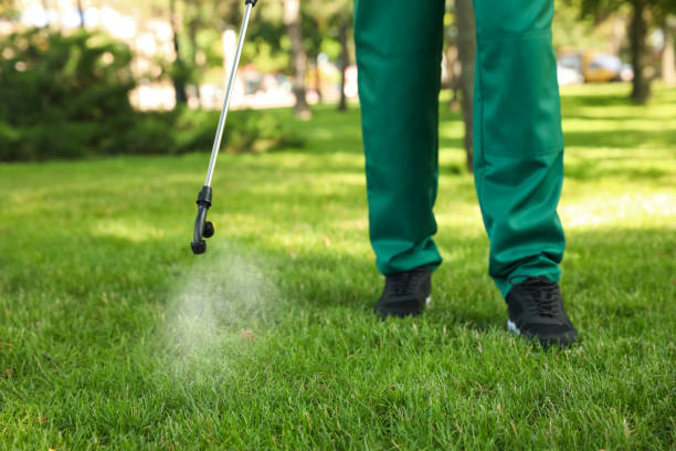 Professional Pest Control in Linton Hall, VA