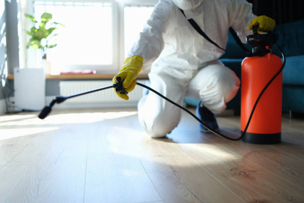 Best Flea Control Services  in Linton Hall, VA