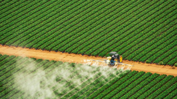 Best Termite Control Services  in Linton Hall, VA