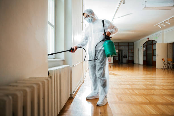 Best Mosquito Control Services  in Linton Hall, VA